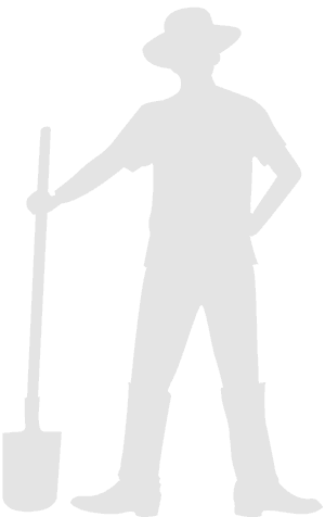 Person Graphical representation of Galanthus elwesii var. monostictus (Giant snowdrop) size and shape